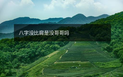 八字沒比肩是沒哥哥嗎