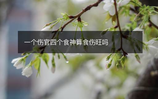 一個(gè)傷官四個(gè)食神算食傷旺嗎