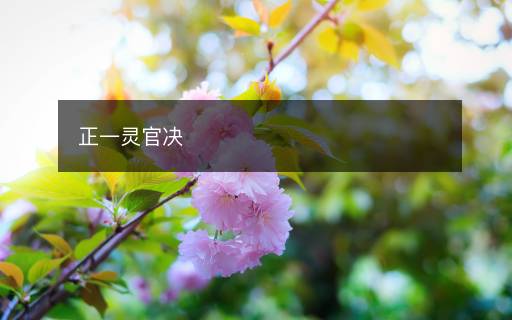 正一靈官決
