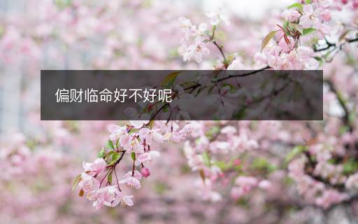 偏財(cái)臨命好不好呢