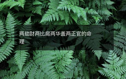兩劫財(cái)兩比肩兩華蓋兩正官的命理