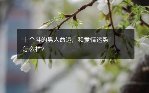 十個斗的男人命運，和愛情運勢怎么樣？