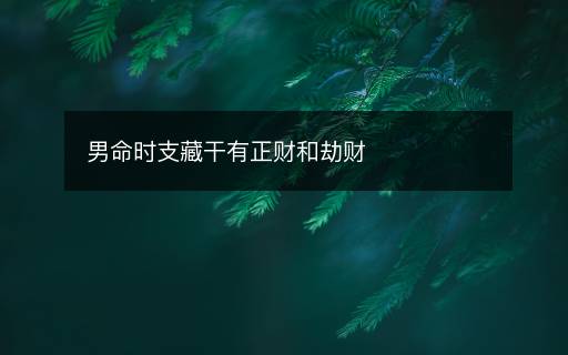 男命時(shí)支藏干有正財(cái)和劫財(cái)