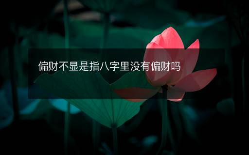 偏財(cái)不顯是指八字里沒有偏財(cái)嗎