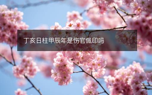 丁亥日柱甲辰年是傷官佩印嗎