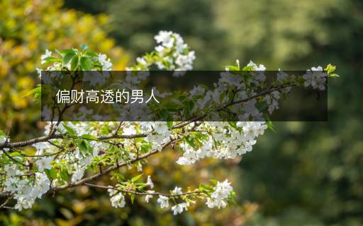 偏財(cái)高透的男人
