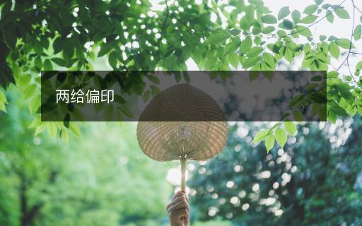 兩給偏印