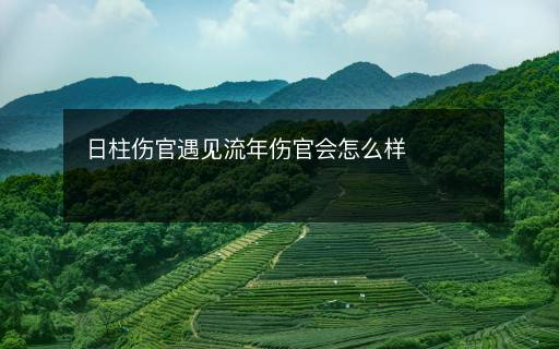 日柱傷官遇見流年傷官會(huì)怎么樣