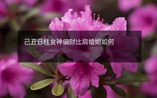 己丑日柱食神偏財比肩婚姻如何