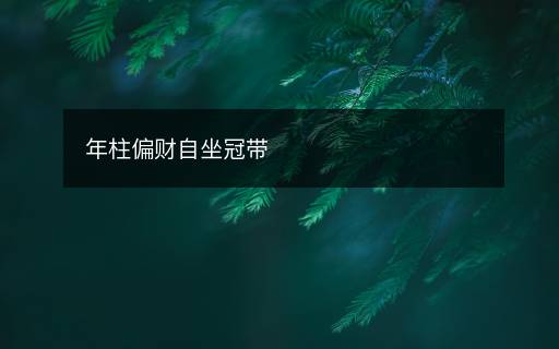 年柱偏財(cái)自坐冠帶