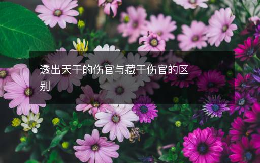透出天干的傷官與藏干傷官的區(qū)別