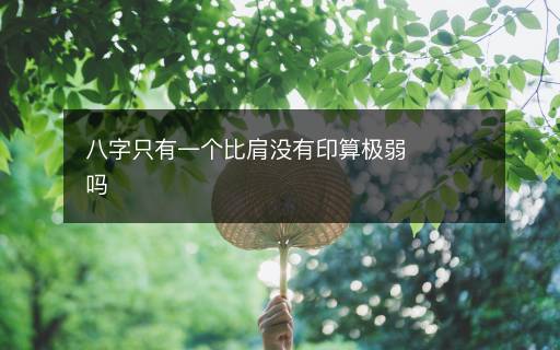 八字只有一個(gè)比肩沒(méi)有印算極弱嗎
