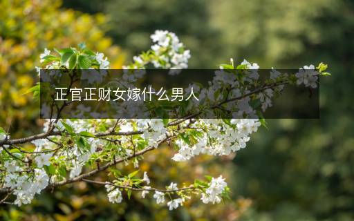 正官正財(cái)女嫁什么男人
