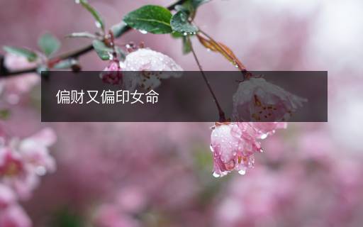 偏財又偏印女命