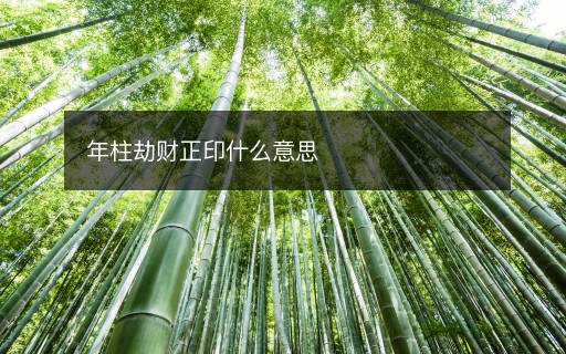 年柱劫財(cái)正印什么意思