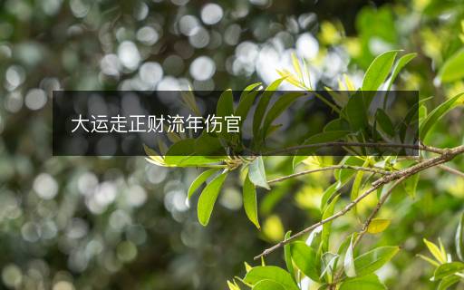 大運(yùn)走正財(cái)流年傷官