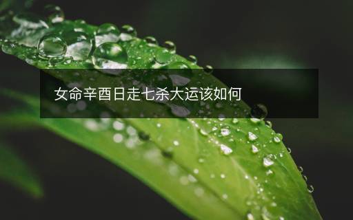 女命辛酉日走七殺大運(yùn)該如何