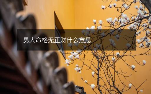 男人命格無正財什么意思