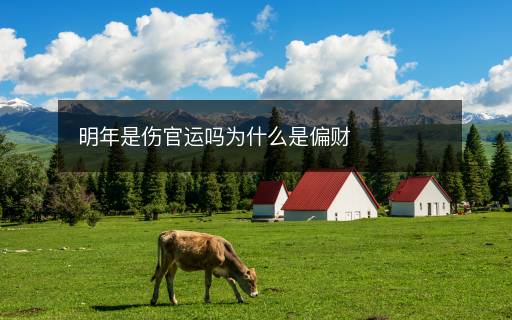 明年是傷官運嗎為什么是偏財