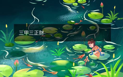 三甲三正財(cái)