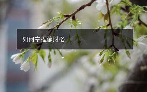 如何拿捏偏財格