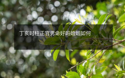 丁亥時(shí)柱正官男命好嗎婚姻如何
