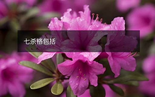 七殺格包括