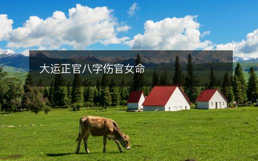 大運(yùn)正官八字傷官女命