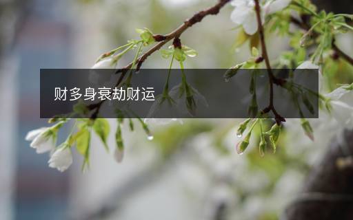 財多身衰劫財運