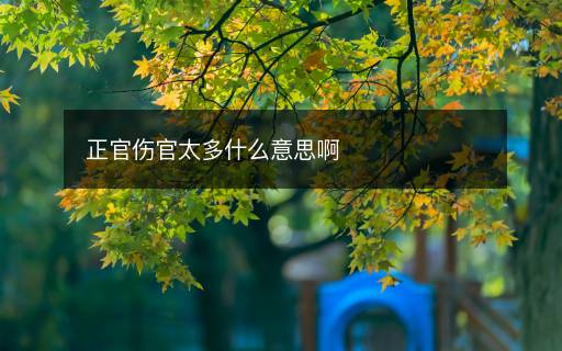 正官傷官太多什么意思啊