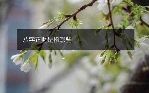 八字正財是指哪些