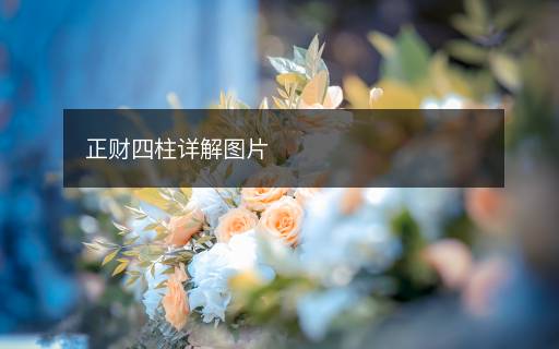 正財四柱詳解圖片