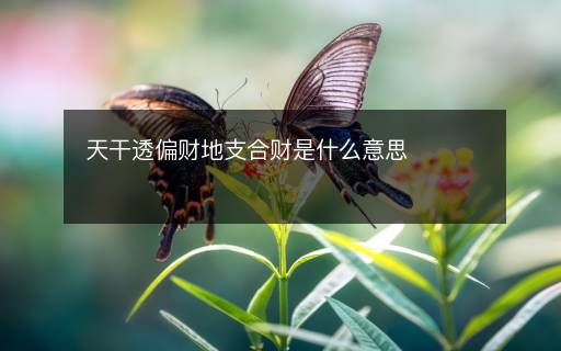 天干透偏財(cái)?shù)刂Ш县?cái)是什么意思