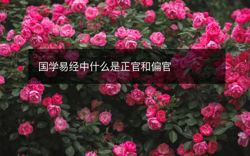 國學(xué)易經(jīng)中什么是正官和偏官