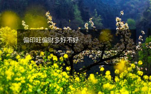 偏印旺偏財(cái)多好不好
