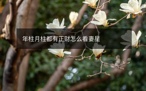 年柱月柱都有正財怎么看妻星