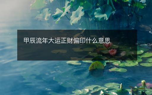 甲辰流年大運(yùn)正財(cái)偏印什么意思