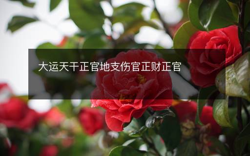 大運(yùn)天干正官地支傷官正財正官