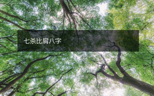七殺比肩八字