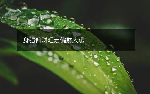 身強偏財旺走偏財大運