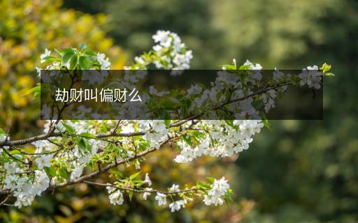 劫財(cái)叫偏財(cái)么