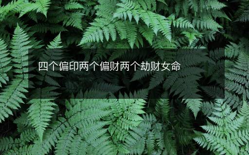 四個偏印兩個偏財兩個劫財女命