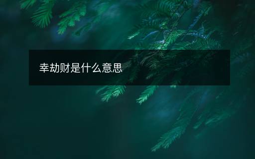 幸劫財是什么意思