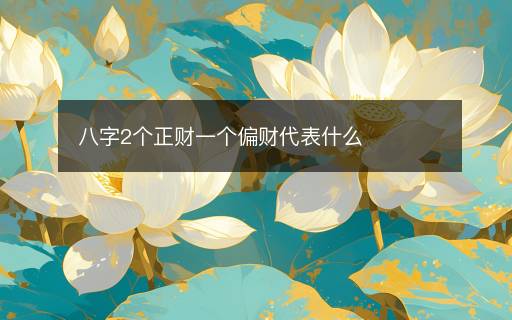 八字2個正財一個偏財代表什么