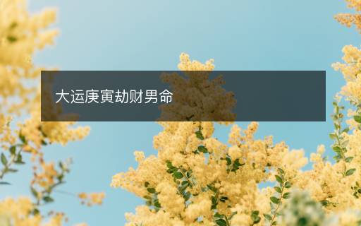 大運(yùn)庚寅劫財(cái)男命