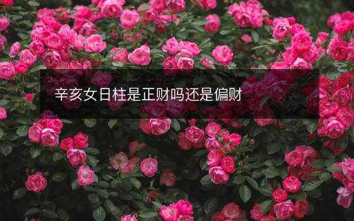 辛亥女日柱是正財(cái)嗎還是偏財(cái)