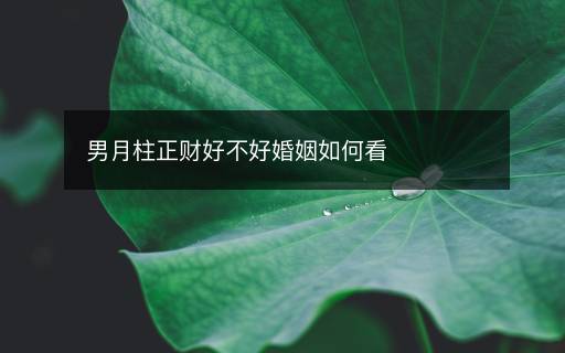 男月柱正財(cái)好不好婚姻如何看
