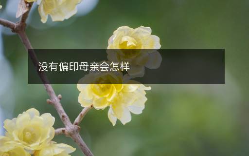 沒有偏印母親會(huì)怎樣