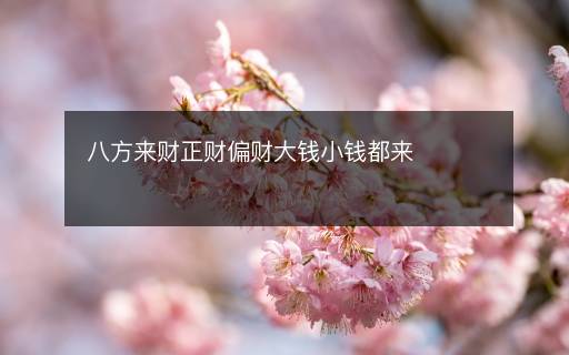 八方來財(cái)正財(cái)偏財(cái)大錢小錢都來