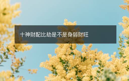 十神財配比劫是不是身弱財旺